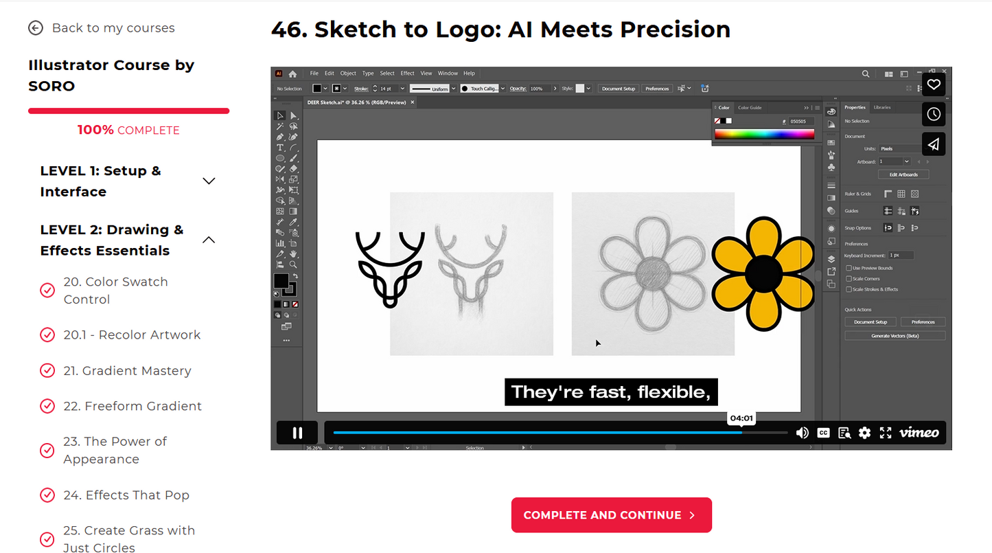 Adobe Illustrator Mastery Course