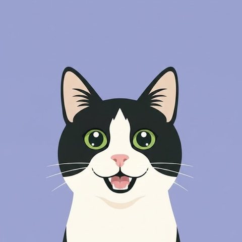 Student Illustrator work